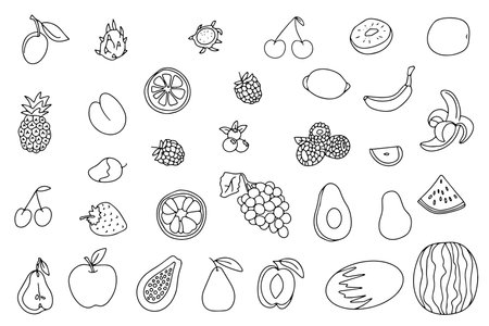 Healthy food set doodle style. Natural organic nutrition. Fresh vitamin products of fruits and vegetables. Vector illustration. Vectorのイラスト素材