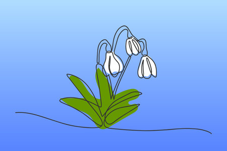 One line snowdrop isolated on blue background. Vector illustration continuous one line of white snowdrop. Spring card with snowdrop. Spring flower. Vectorのイラスト素材