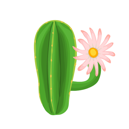 Cactus plant with flowers. Blooming cactus. Vector illustrationのイラスト素材