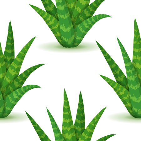 Aloe vera - seamless pattern with desert plants. Nature floral background with green succulent leaf. Wallpaper with plantation of aloe. Vector illustrationのイラスト素材