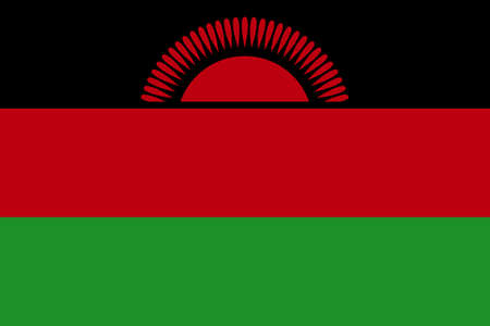 national flag of Malawi.のイラスト素材
