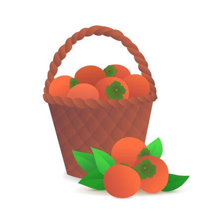 Ripe persimmons in wicker basket icon.のイラスト素材