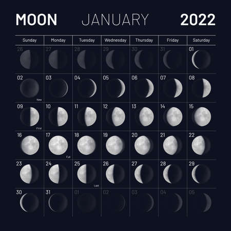 January moon phases calendar on dark night skyのイラスト素材