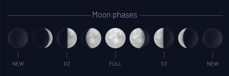 Moon phases whole cycle on night skyのイラスト素材