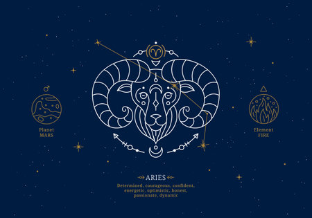 Aries zodiac sign with description of personal features. Astrology horoscope card with zodiac constellation on dark blue sky thin line vector illustrationのイラスト素材