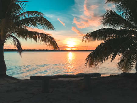 Sunset palm silhouette tree landscape. Amazing natural summer scenery. Beautiful nature landscape. Concept of an ideal resting place. Popular touristic destination. Travel, adventure, concept image.の写真素材