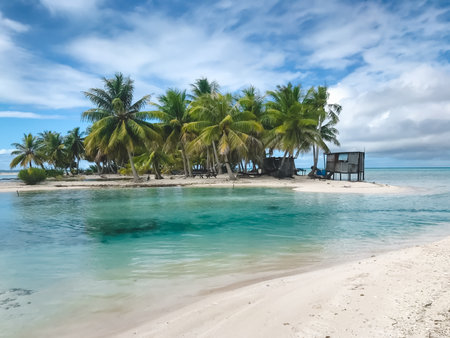 Wild tropical island with turquoise water and coconut palm trees. Crystal sea, white sand beach....