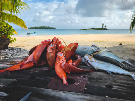 Fresh fish caught in morning on tropical island Tikehau, Polynesia. Catch for sale at fish market. Fisherman boat and sand beach in background. Amazing natural summer scenery. Travel, tourism, holidayの写真素材