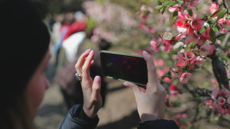 Tourist woman enjoys Japanese Sakura blossom in spring Tokyo park. Closeup side view of girl holding...