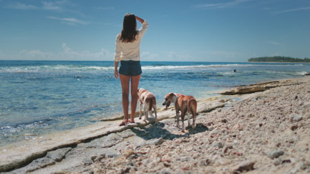 Woman walk two dogs on beach coastline. Female enjoy time together with her pets, stand sea shore look seascape waves. Real friendship, summer vacation, weekend time, relax. Friends forever. Back viewの写真素材