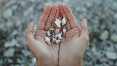 Woman holding hermit crabs in hands on beach. Human arms full of small funny crustaceans moving in beautiful different shellsの写真素材