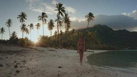 Woman walks on a sandy beach at sunset, surrounded by a tropical paradise with palm trees and ocean sounds, creating a peaceful vacation settingの写真素材