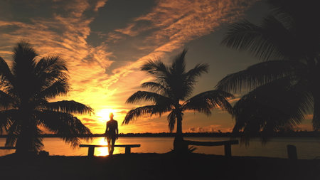 Silhouette of a young woman standing between palm trees, admiring a beautiful sunset over the lagoon of maupiti island in french polynesiaの写真素材