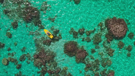 Experience the tranquility of kayaking in crystal-clear waters near a vibrant coral reef on a sunny day, embracing the beauty of nature from above. Inspire your next adventure with this aerial viewの写真素材