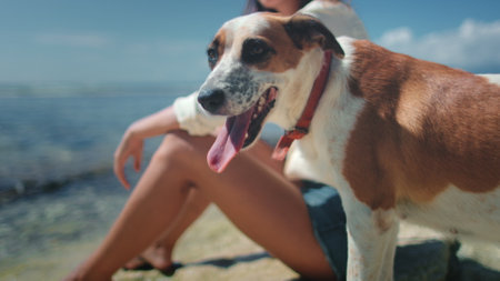 Cute dog relax on beach with its female owner, close up. Pet on fresh air outdoor nature sea landscape. Enjoy time together, friendship, summer vacation concept. Friends forever.の写真素材