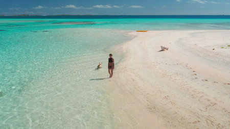 Aerial drone footage of a young woman enjoying a sunny day at the beach with her dog, walking on a pristine white sand beach in a tropical paradiseの写真素材