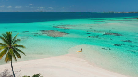 Aerial drone footage of a woman enjoying a sunny day on a tropical island with a yellow kayak,...