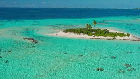 Capturing the beauty of a tropical island from above. This aerial drone footage shows a pristine beach with palm trees and turquoise watersの写真素材