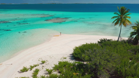 A birds eye view of a pristine white sandy beach lined with lush palm trees, set against the backdrop of crystal clear waters of Polynesias tropical islands.の写真素材