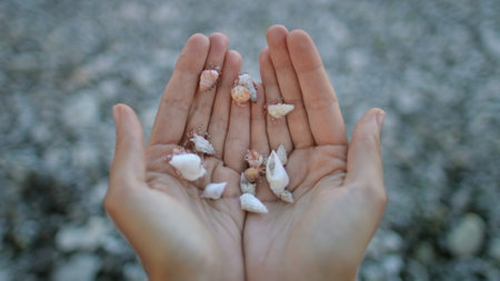 Woman cupping her hands full of small seashells, on a blurred beach backgroundの写真素材