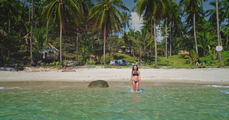 A stunning aerial view of a tropical beach with lush palm trees and turquoise waters. A woman in a bikini walks through the shallow sea, enjoying the idyllic paradise. Perfect travel and relaxationの写真素材