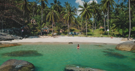 Crystal clear water gently laps at the shore as a person stands in the shallow part of the beach. Lush palm trees surround the tranquil scene, indicating a warm, sunny day.の写真素材