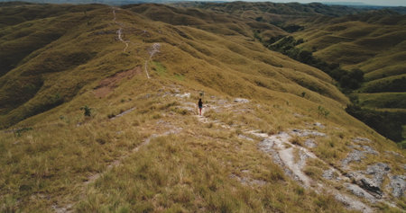 Woman walking on a path in the middle of rolling hills covered with dry grass in Sumba Island,...