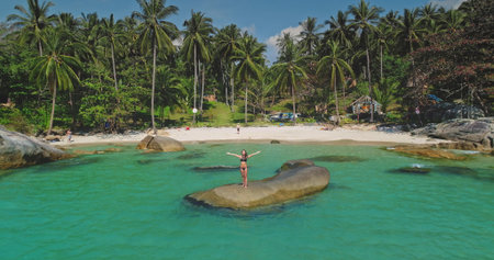A person stands joyfully on a rock in a beautiful tropical location, surrounded by clear turquoise waters and lush palm trees under a bright sky, perfect for a relaxing day at the beach.の写真素材