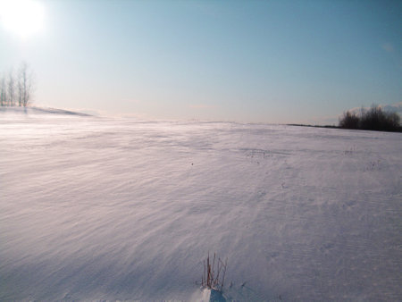 winter landscape. Snowy field and blue sky in the background.の写真素材