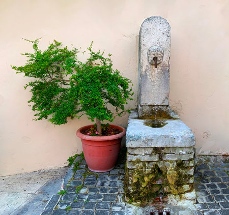 Old fountain and tree in Italy. Antique fountain, clear water from the mountains. still provides fresh, cool water.の写真素材