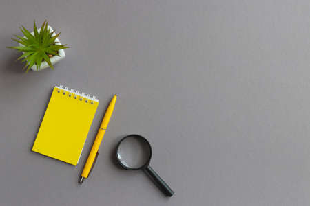 Business flat lay with notepad, pen, magnifying glass and succulent plant on gray table with copy space. Searching ideas. Trendy yellow-gray colors.の写真素材