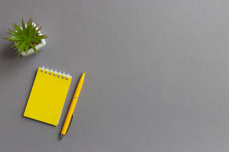 Business flat lay with notepad, pen and succulent plant on gray table with copy space. Trendy yellow-gray colors.の写真素材
