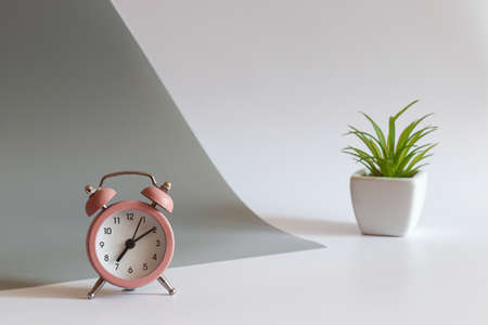 Modern work place with alarm clock and plant. Selective focus, copy space. Morning concept.の写真素材