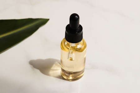 Bottle of cosmetic essential oil and green leaf. Close-up. Beauty and body care concept. Serum skin care product. Hard lightの写真素材