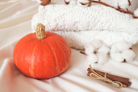 Beautiful autumn atmospheric hygge card. Cozy soft autumn background with pumpkin, cinnamon, warm knitted sweater and cotton flower. Light autumn composition. Selective focus.の写真素材
