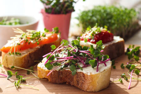 Toasts with microgreens on the table. Healthy food, vegan food and dieting conceptの写真素材
