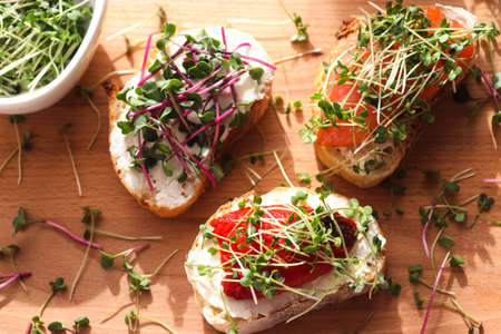 Fresh radish microgreens in pink little bucket. Home gardening. Healthy food.の写真素材