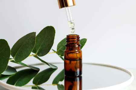 Serum oil is dripping from dropper. Bottle of cosmetic essential oil with dropper and eucalyptus...