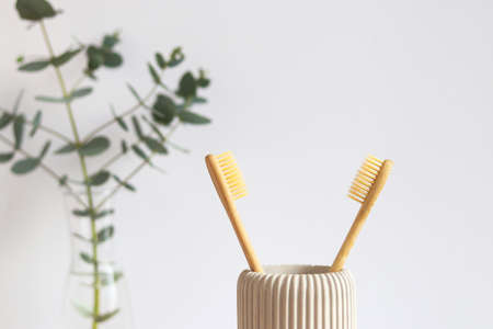 A pair of eco-friendly bamboo toothbrushes and eucalyptus twigs. Oral hygiene and zero waste...