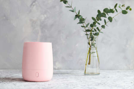 Humidifier or aroma lamp turned on the table and eucalyptus branches in vase. Selective focus