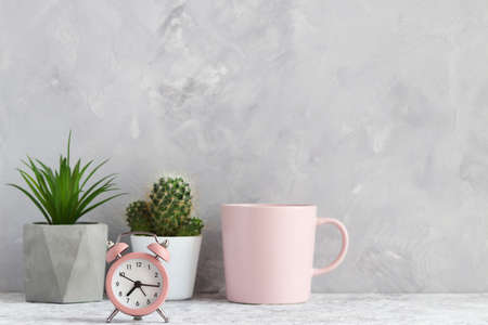 working place. Alarm clock, set of succulent plants in pots, books, and cup of coffee against gray...