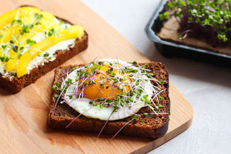 Toasted bread with egg, bell pepper, cream cheese and microgreens on the table close-up. Tasty...