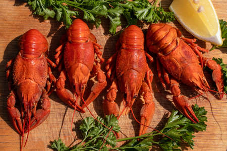 Boiled red crayfish or crawfish with parsley and lemon on the wooden kitchen board. Top view, flat lay. Menu for pub or reustarantの写真素材
