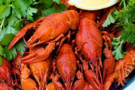 Boiled red crayfish or crawfish with parsley close-up. Top view, flat lay. Food background....