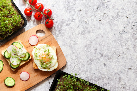 Two toasts or bruschetta with egg, cucumber, radish, avocado and microgreens on the table with copy space. Tasty breakfast. Healthy lifestyle. Top viewの写真素材