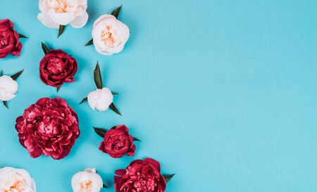 Layout with peonies. Beautiful bright flowers on blue background. Flatley.の写真素材