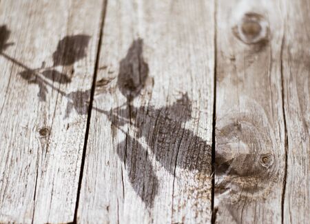 Wooden table. On wood surfaces the shadow of the plants.
