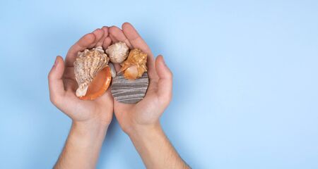 Seashells in men's hands on a blue background. Layout for the banner. The summer theme.の写真素材