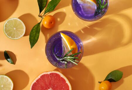 Still life with citrus and cocktails. Solar photography. The summer mood.