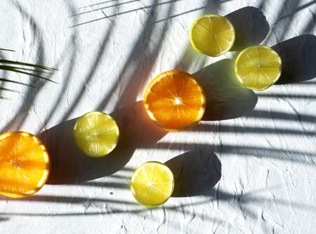 Oranges and limes, a green branch on a white background. Bright sunlight. Summer concept.の写真素材